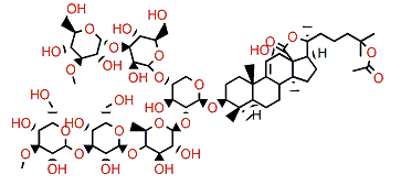 25-Acetoxy bivittoside D